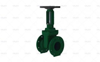 BS OS&Y Resilient Seated Gate Valve