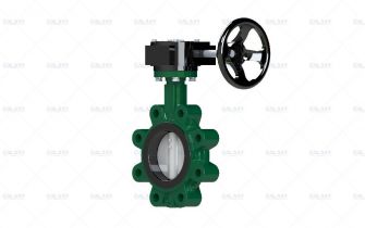 Concentric Lugged Butterfly Valve (C9 Series)
