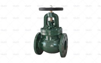 Globe Valve