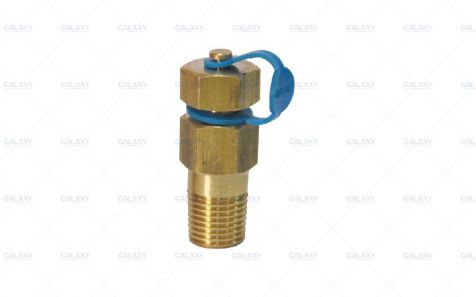 Pressure Test Valve